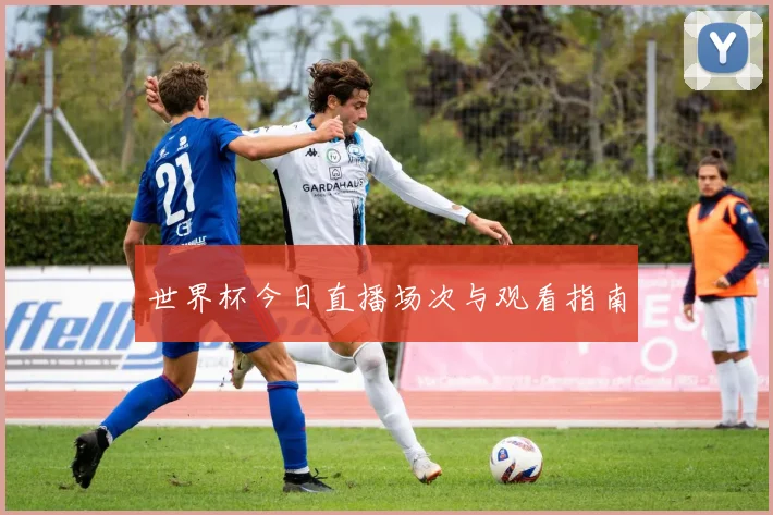 世界杯今日直播场次与观看指南