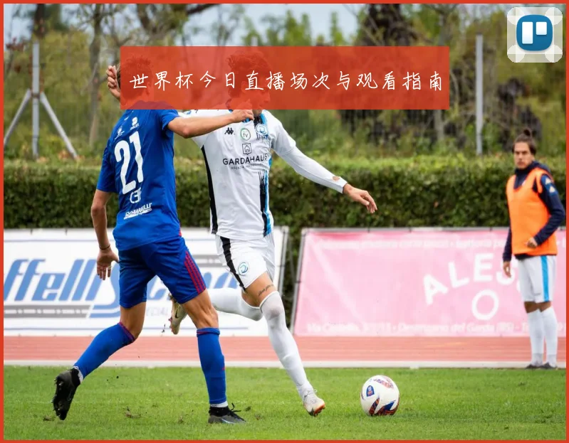世界杯今日直播场次与观看指南